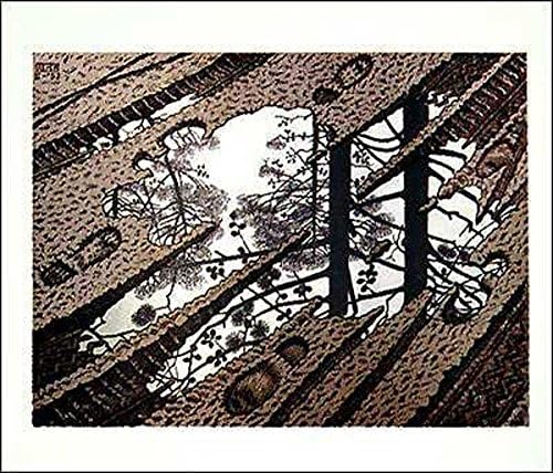 M.C. Escher Puddle Poster 25.5x21.5