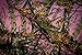 Crazedigi Pink Camo Full Sheet Set- Double Brushed Ultra Microfiber Luxury Bed Sheet Set.