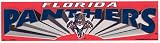 Florida Panthers 11" x 3" Bumper Sticker