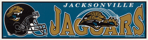 Jacksonville Jaguars 11