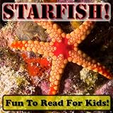 Starfish! Learning About Starfish - Starfish Photos And Facts Make It Fun! (Over 45+ Pictures of Different Starfish)