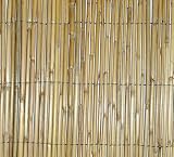 Nortene Botanico Reed Screening Height: 1.8 Metre x Length: 3.8 Metre 