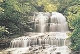 Cascades 1803 Wall Mural