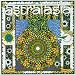Astralasia-Politics of Ecstasy
