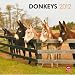 Donkeys 2012 Square 12X12 Wall Calendar
