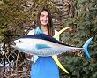 Giant Taxidermy Quality Yellow Fin Tuna Fish Wall Mount