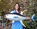 Giant Taxidermy Quality Yellow Fin Tuna Fish Wall Mount