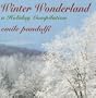 Winter Wonderland-A Holiday Compilation