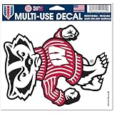 NCAA University of Wisconsin Multi-Use Colored Decal, 5" x 6"