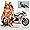 Fast Dates 2012 World Superbike & Motogp Swimsuit Model Calendar Image #4 Fast Dates 2012 World Superbike & Motogp Swimsuit Model Calendar Image #4