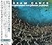 Dream Dance