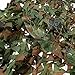 Outdoor Camping Woodland Camo Netting
