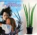 Edward Scissorhands Plant - Impossible to Kill! - Weird