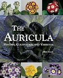 The Auricula: History, Cultivation and Varieties