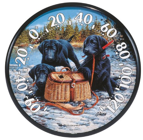 Chaney Instruments Acu-Rite 01711 12.5-inch Black Lab Pups Thermometer