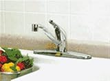 Globe Union F8124006CP Do it Best Single Handle Kitchen Faucet