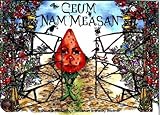 Ceum nam measan