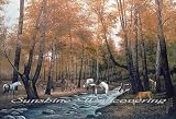 Gathering Horses Wall Mural