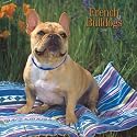French Bulldogs 2008 Square Wall Calendar (German, French, Spanish and English Edition)