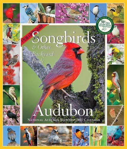 365 Audubon Songbirds a Year 2011 Wall Calendar