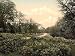 Vintage Travel Poster - A view near Speech House Forest of Dean England 24 X 18.5