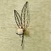 Canna Leaf Wall Sconces - Narrow
