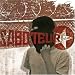 Saboteur
