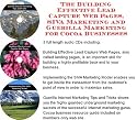 The Guerilla Marketing, Building Effective Lead Capture Web Pages, SIVA Marketing for Cocoa Businesses