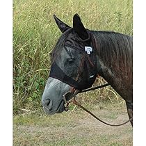 Cashel Quiet Ride Fly Mask with Ears Horse

