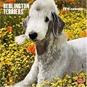Bedlington Terriers 2010 Wall