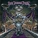THE DEVIN TOWNSEND PROJECT  Juular