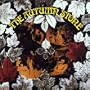 Autumn Stone