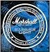 Marshall Saiten für E-Gitarre 09-42 Special light