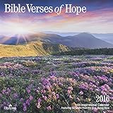 DaySpring 12" x 12" 2016 12-Month Wall Calendar, Verses of Hope (73344)