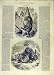 GORILLA GABON LION JAGUAR ANTELOPE FRENCH PRINT 1854