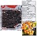 Xiamen Premium Dried Seedless Longan (Dragon Eye) Fruit- 10 Oz - Arillus Longan