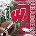 Turner Wisconsin Badgers 2016 Team Wall Calendar, September 2015 - December 2016, 12 x 12