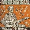 Image of album by Hound Dog Taylor
