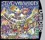 Steve Winwood: About Time