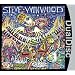 Steve Winwood: About Time