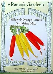 Sunshine Carrots Yellow and Orange Seeds 1300 Seeds