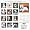 West Highland White Terriers 2008 Square Wall Calendar