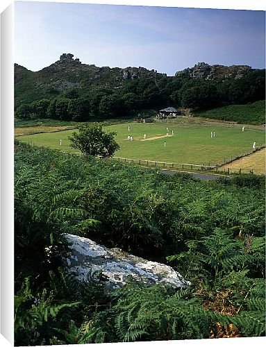 Canvas Prints of Cricket in Exmoor from Country Life 