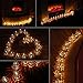 Sunniemart 10 Led Warm White Lantern Solar String Lights Outdoor Decorative Lights for Christmas, Wedding, Party