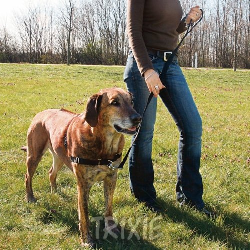 S-M Easy Walk Professional Dog Training Harness Walking