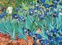 Vincent Van Gogh Irises Art Print POSTER Flower Gough - 20" x 16"