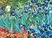 Vincent Van Gogh Irises Art Print POSTER Flower Gough - 20" x 16"