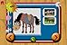 My baby loves horses