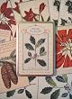 Cavallini Postcard Set- Holiday Botanicals Glitter Greetings