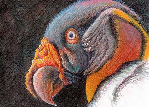 King Vulture - original acrylic wall art painting - 9 1/2 x 7 1/2 inches - 100% hand painted - decor animal art